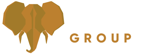 meg group logo