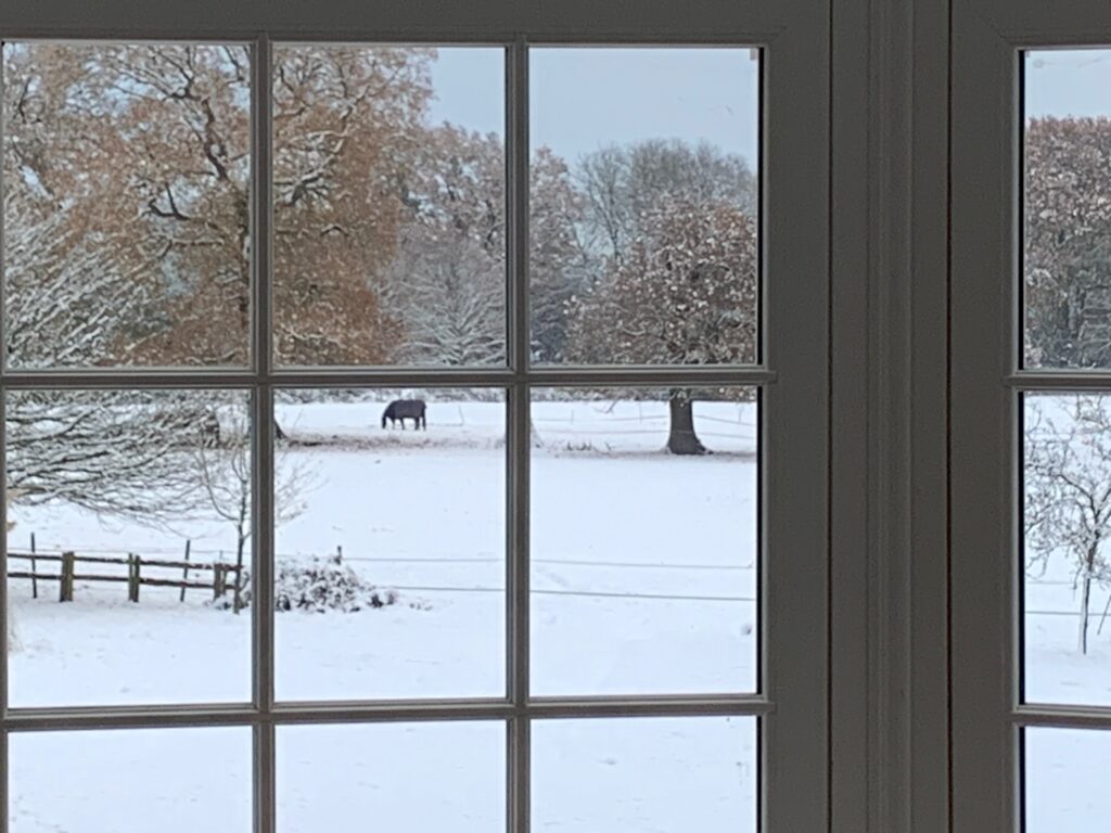 Millfield-House-Brentwood