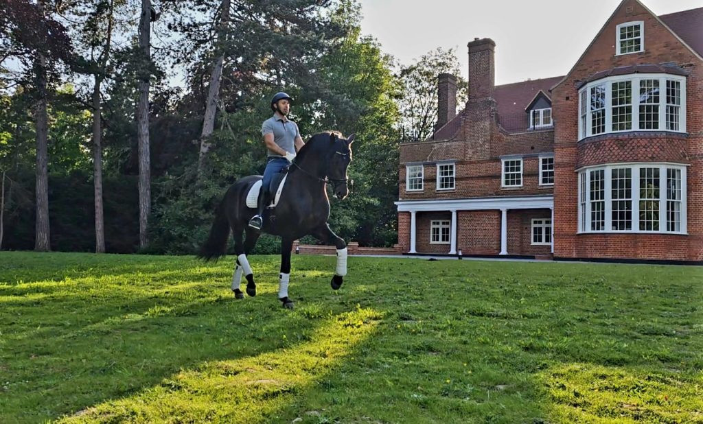 Millfield Park | Dressage Horses Luis Filipe Vilhena